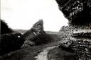 Does a werewolf stalk the ruins of Burgh Castle? Picture: Archant Library