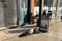 guinea fowl seen mingling with shoppers on the streets of Holt