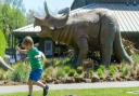 Roarr! Dinosaur Adventure is one of the Norfolk attractions closing for the Queen's funeral.