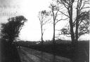 Weird Norfolk: The old man of Hopton. Pictured: Night closes in on the A12 where a Lowestoft police constable had a spine-chilling encounter with the unexplained. Date: 24 Dec 1980. Picture: Archant Library