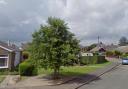 A grey alder tree at The Cobbleways in Winterton will not be chopped down following objections from residents.