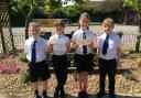 Pupils at Ormiston Cliff Park Primary Academy have received a commendation from Sir David Attenborough