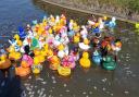 The Great Yarmouth Duck Race in 2019.