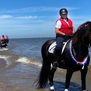 The horses enjoyed their trip to the beach at Great Yarmouth