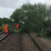 Fallen tree on the line near Brundall Gardens