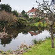 Weird Norfolk feature on the Lily Pit,  Beccles Road, Gorleston.Picture: Nick Butcher