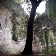 East Somerton Church for Weird Norfolk.
Picture: ANTONY KELLY