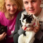 Purdy the rescue cat has been hailed a hero after saving Twinkle (black cat). Owern Weny Moore with her son RobinPHOTO: Nick Butcher