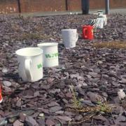 A file photo, from July 2020, of mugs on the A47 roundabout in Gorleston.