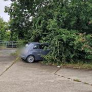 A woman has been taken to hospital after crashing into a tree.