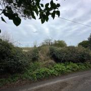 The land adjacent White House Farm, Back Lane, Burgh Castle in Great Yarmouth. Picture: Auction House East Anglia