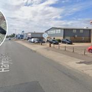 The gulls were found in Harfrey’s Road in Great Yarmouth