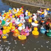 The Great Yarmouth Duck Race in 2019.