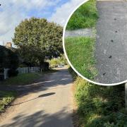 A council is taking measures to tackle dog fouling in its village